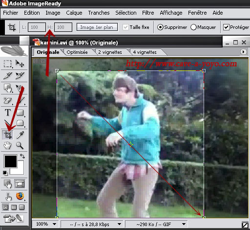 recadrage du gif