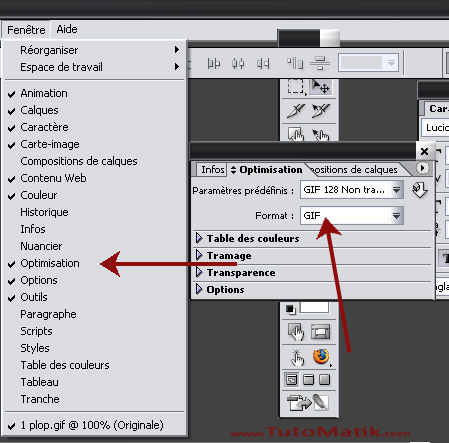 Optimisation et enregistrement du gif